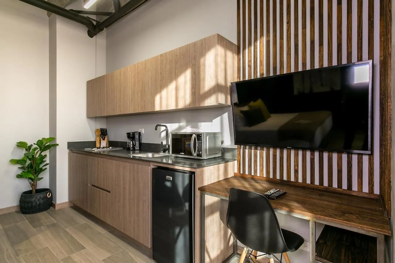 Factory Lofts Hotel 메딜린 4*,